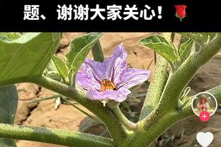 他好爱？哪怕在赛前唱歌环节 狄龙都目光如炬&死死盯着詹姆斯